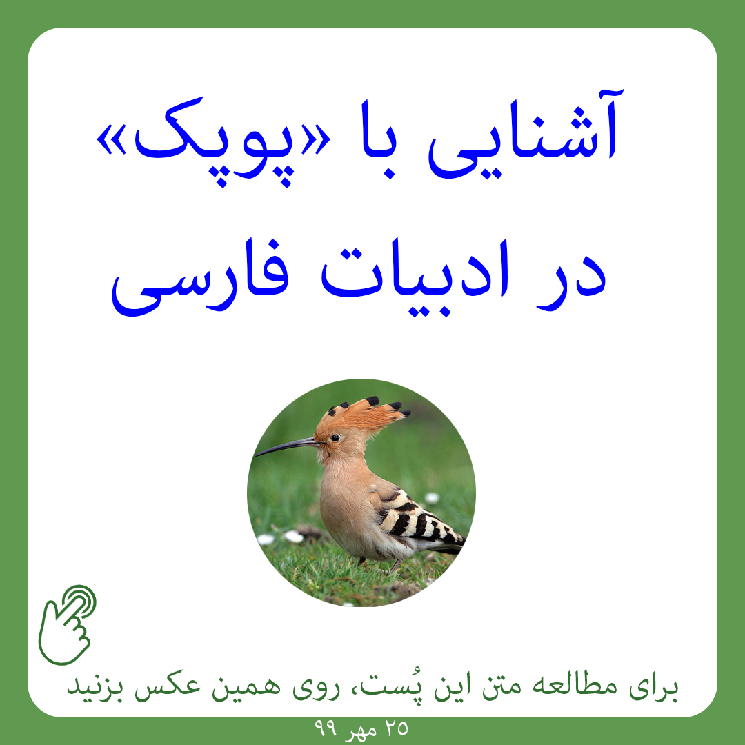 آشنایی با «پوپک» در ادبیات فارسی